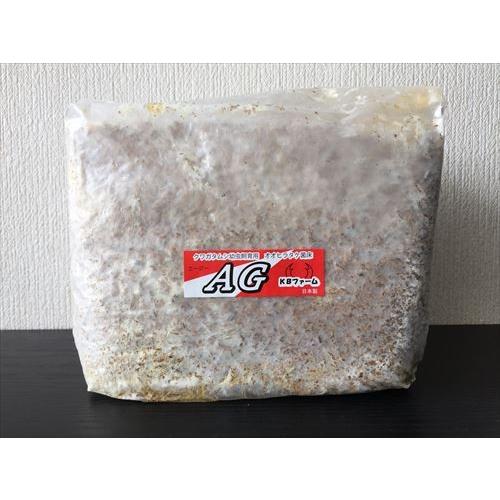 菌床ブロック AG 3500cc×10個 KBファーム製 オオヒラタケ AG 菌床ブロック AG 3500cc×10個 KBファーム製 オオヒラタケ AG
