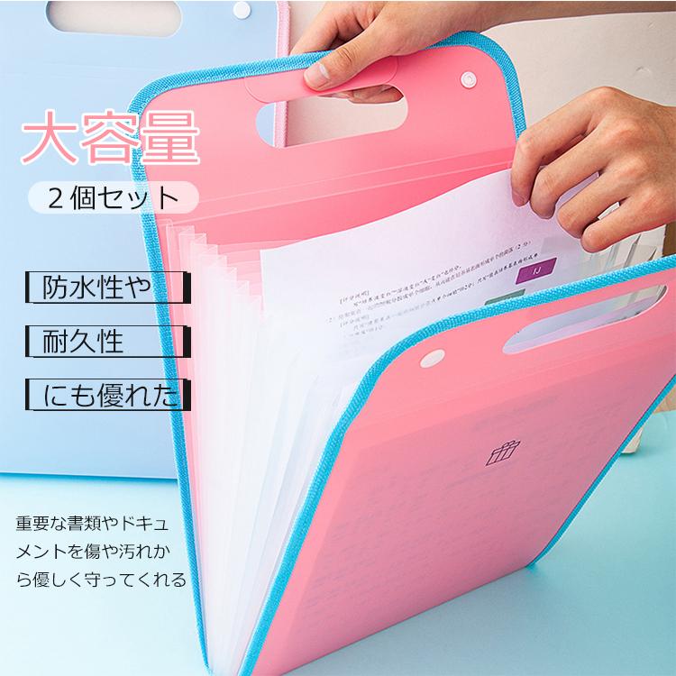 ドファイル袋 ２個セット 13ポケット 持ち運び ファイルケース 書類ケース 文具 文房具 防水 仕分け 大容量 ドキュメント 紛失防止 収納 オフィス用品 C 株式会社ドレモクリエイティブ 通販 Yahoo ショッピング