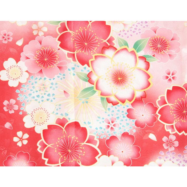 京美 七五三 着物 7歳 女の子 紅ピンク染め分け着物 桜 牡丹 桜地紋