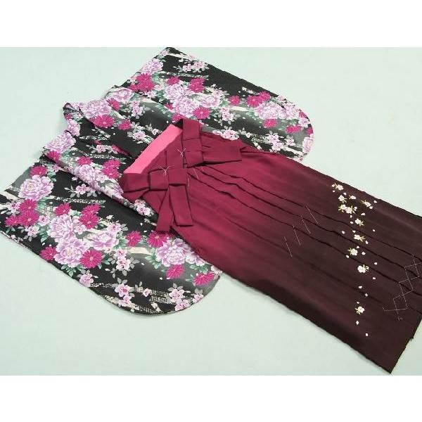 卒業袴着物フルセット　HLブランド　卒業式　黒　紫芍薬　桜刺繍濃淡ボカシ袴　レンタルよりお値打ちな13点セット | 京美 | 01