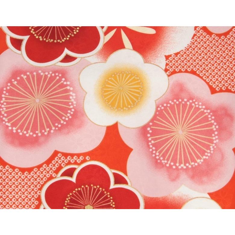 小学生　卒業袴着物４点セット　花ひめブランド　ジュニアサイズ　朱色　梅柄　紫刺繍袴　赤黄色両面帯　十三参りとしても御使用出来ます | 京美 | 02