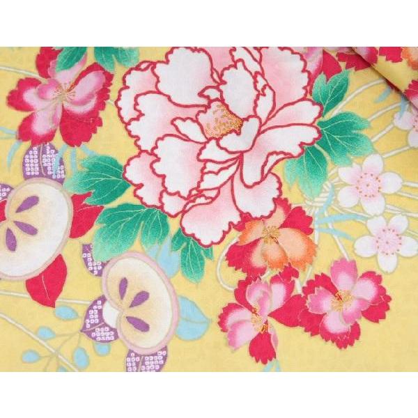 卒業袴着物フルセット　卒業式　黄色　桜刺繍濃淡ボカシ袴　レンタルよりお値打ちな13点セット | 京美 | 02