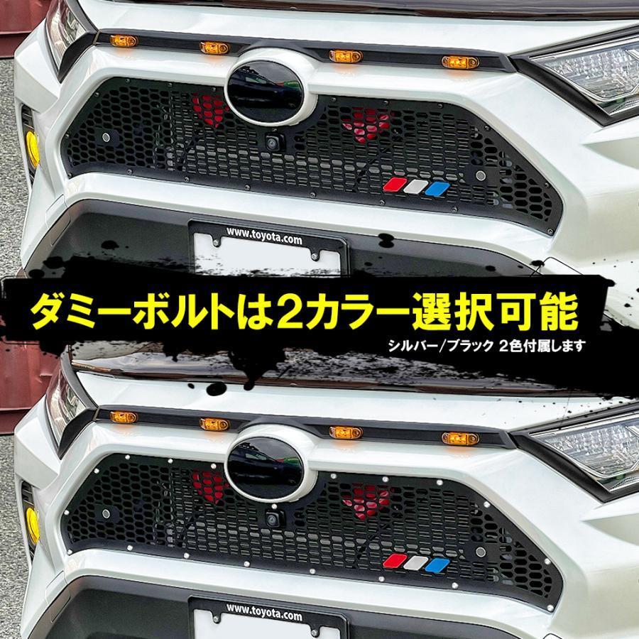 RAV4 パーツ 50系 アイアン フロントグリルカバー 1P フロントグリル