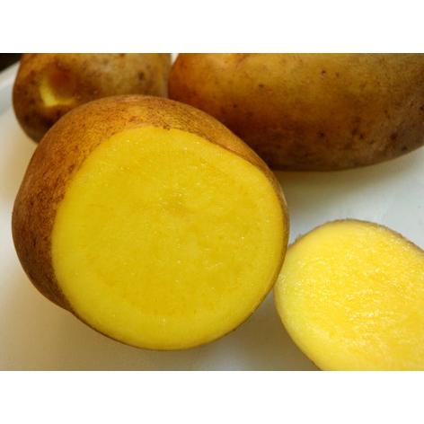 インカのめざめ 北海道産 SS Sサイズ以上 １ kg以上 秀品 小玉 正規品 人気 じゃがいも 芋 いんかのめざめ 野菜 贈答品 ギフト｜dori-ma-8｜04