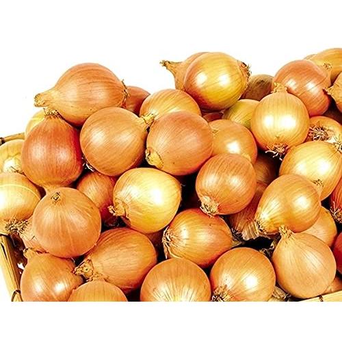 玉ねぎ たまねぎ 北海道産 小玉 Sサイズ １０ｋｇ オニオン 玉葱 タマネギ 野菜 ギフト（Yahoo!・旬の北海道 メロン すいか専門店）