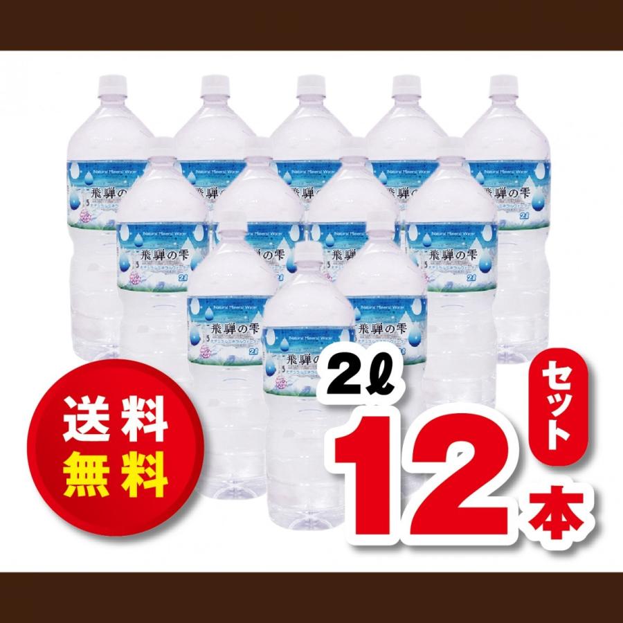 送料無料！ミネラルウォーター　天然水　北アルプス発　飛騨の雫２Ｌ×２ケース（１２本）｜dorinkuya2