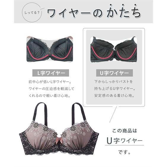 ニッセン ブラ&ショーツ D85/L-F90/4L 大きいサイズ 高嶺 ニッセン ブラ&ショーツ D85/L-F90/4L 大きいサイズ 高嶺