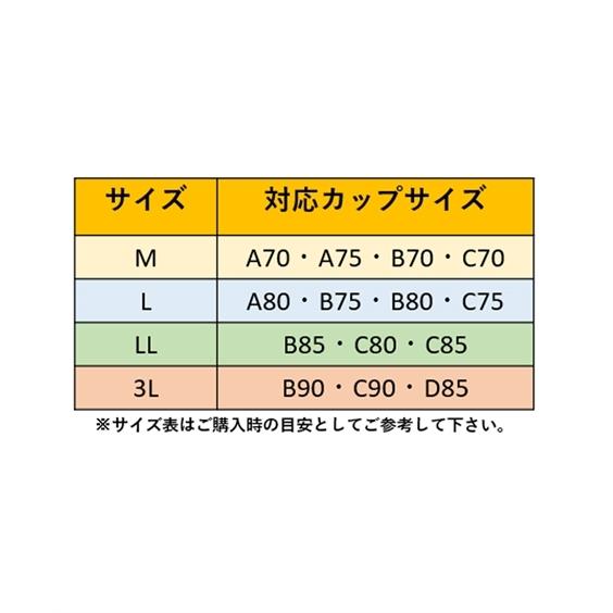 GUNZE ブラジャー M L LL グンゼ KIREIRABO 完全無縫製 綿混