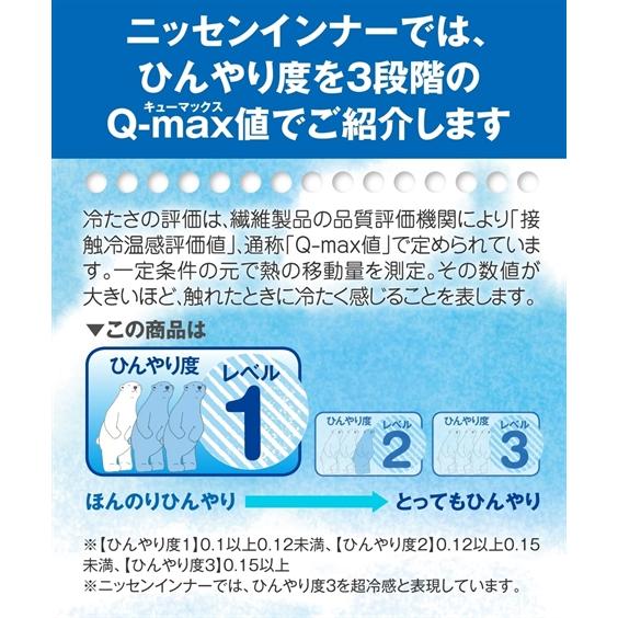 肌着・インナー LL 3L 大きいサイズ 滝汗さん 吸汗速乾 消臭テープ 汗取りパッド付 キャミソール 2枚組 接触冷感｜dorismieux-bynissen｜18