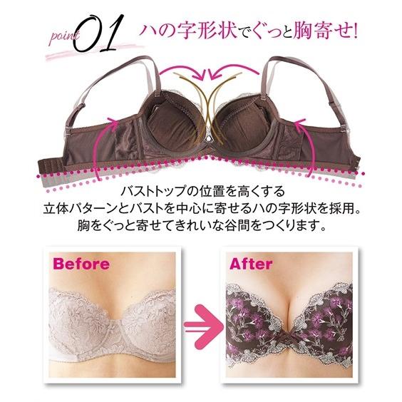 E70 F80 ぐっと 胸寄せ ブラジャー ナデシコ柄 トリンプ ニッセン ブラ とりんぷ 下着 インナー レディース 女性 セクシー 谷間 盛れる 盛り Zzy4ab0078 Doris Mieux By ニッセン 通販 Yahoo ショッピング