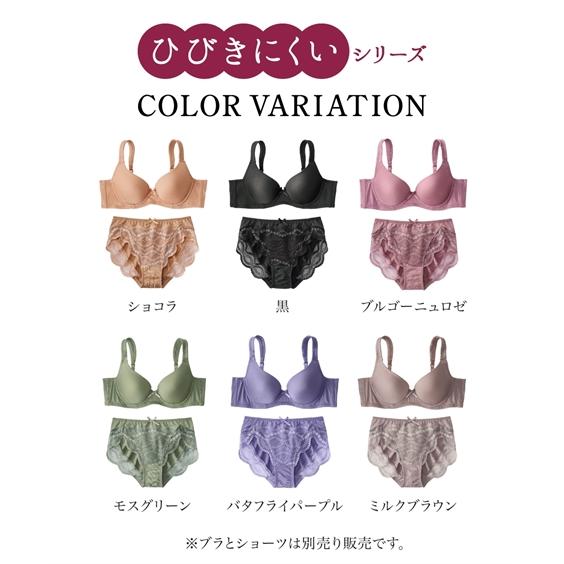 ニッセン ショーツ M L アウター ひびきにくい レーシー 2枚組 ニッセン ショーツ M L アウター ひびきにくい レーシー 2枚組