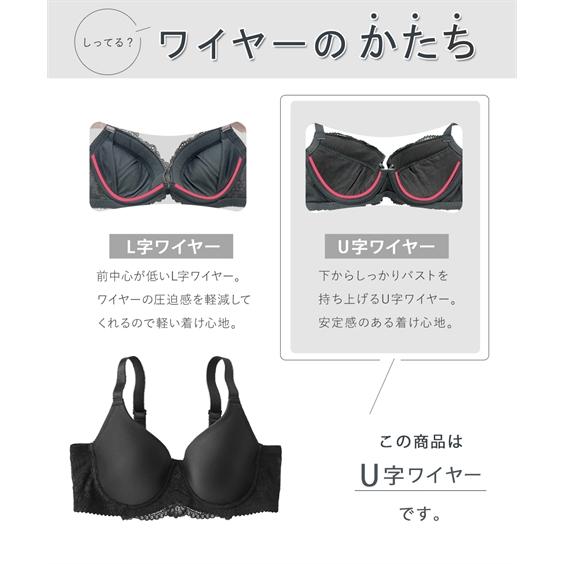 ニッセン ブラジャー ニッセン【 大きい胸 】シームレス