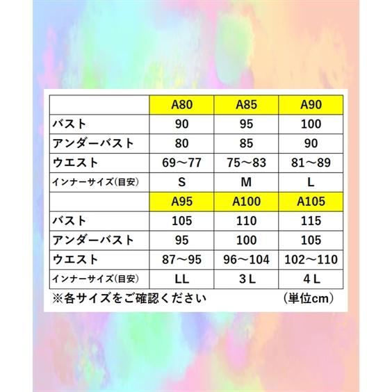 ニッセン トランス トランス下着 (A80-A105) 大きいサイズ 【MTF ニッセン トランス トランス下着 (A80-A105) 大きいサイズ 【MTF
