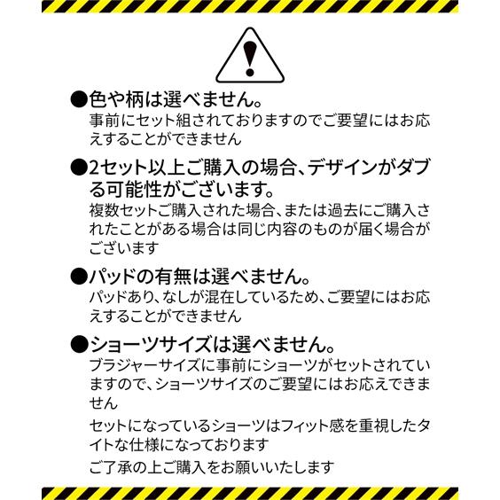 ブラ＆ショーツ セット ニッセン 大きいサイズ お買い得 おまかせ 福袋 ブラジャー ショーツ 5セット組 女性 下着 レディース ブラショーツ (B85/LL-F100/L)｜dorismieux-bynissen｜03