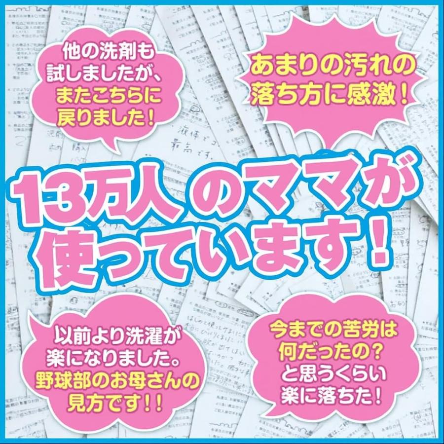 送料無料】【2.6kg詰替】泥スッキリ303 泥汚れ洗剤 粉末洗剤