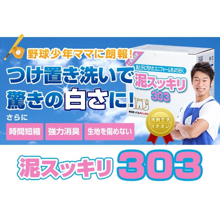 半額クーポン 配布中】5月31日まで 泥スッキリ303 お試し送料無料 泥