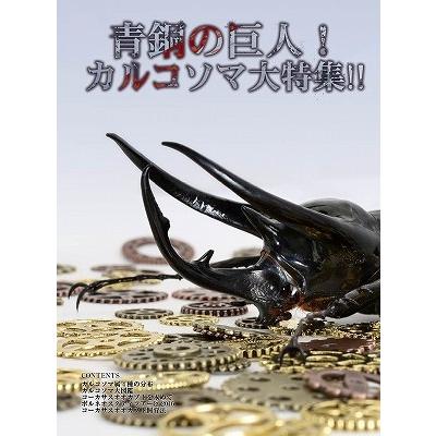 BE-KUWA 67号（メール便送料込み） ビークワ67号 ☆ポイント8倍
