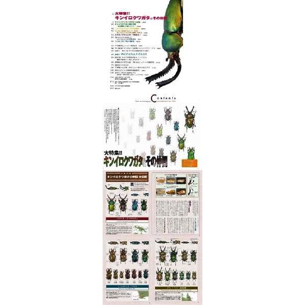 ビークワ　まとめ売り 楽天市場】ビークワ64号の通販