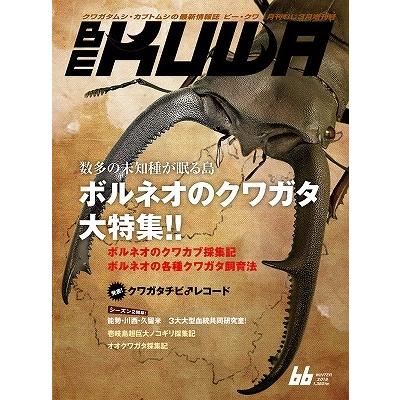 BE-KUWA 66号（メール便送料込み）　ビークワ66号　　★ポイント8倍★｜dorukusu