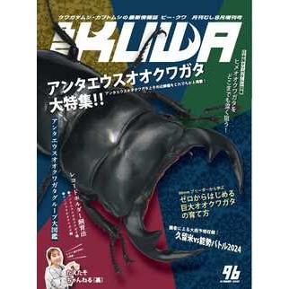 ビークワ1 BE-KUWA 96号（メール便送料込み） ビークワ96号 ☆ポイント7