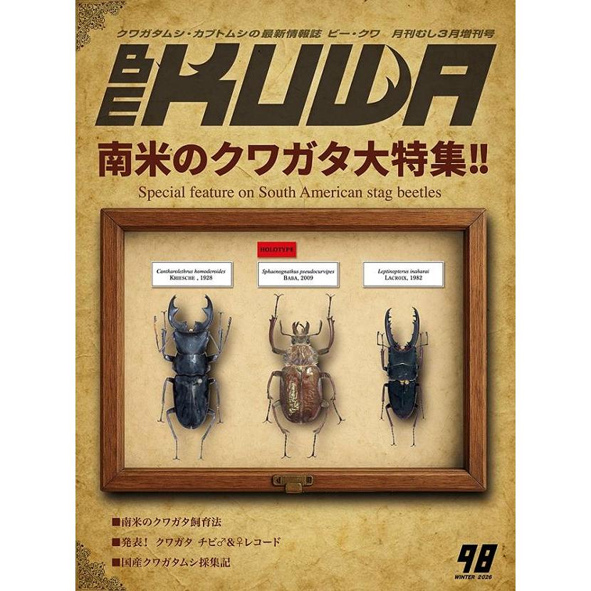 BE KUWA 昆虫雑誌 セット 50号〜59号 ビークワ59号（BE・KUWA） 薩摩のクワガタムシ大特集!!