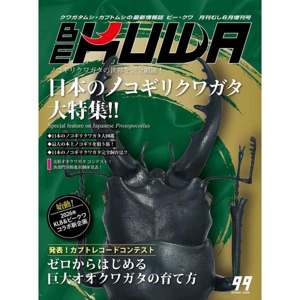 BE-KUWA 99号（メール便送料込み）　ビークワ９９号　　★ポイント7倍★（Yahoo!・ドルクスオーナーズショップ）