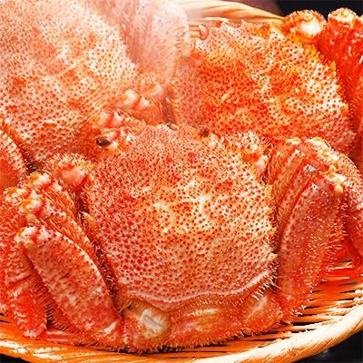 公爵 嫌い 満たす 豪華 三 大 蟹 の 味 比べ 三昧 セット Kjc08 Jp