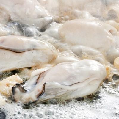 送料無料 広島県産 牡蠣 かき 特大 冷凍 剥きカキ 2kg 広島産 むき身 剥き身 Iqf急速冷凍 地御前地域 母の日 父の日 お中元 お歳暮 A002 005 どさんこファクトリー北海道 通販 Yahoo ショッピング