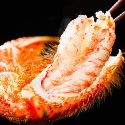 （送料無料 北海道産 カニセット）吟穣海鮮セット（浪の舞 大漁）タラバガニ 毛ガニ ズワイガニ ホッケ いくら醤油 イカ を厳選（北海道 ボイル済み 蟹セット） 大漁