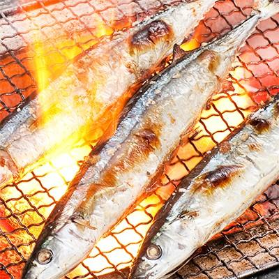 送料無料 生サンマ 北海道産 根室 釧路 中 浜呼び名 4kg前後33尾前後 獲れたて 生さんま 水揚げ日に空輸で翌日着 日帰りトロさんま 最高級 秋刀魚 A006 002 55 どさんこファクトリー北海道 通販 Yahoo ショッピング