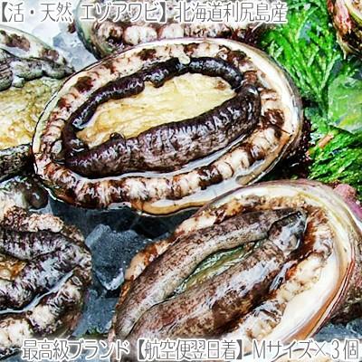 送料無料 アワビ あわび 北海道 利尻島産 天然 活 エゾアワビ 70g 3 Mサイズ 水揚げ日に空輸で翌日着 北海道産 最高級 黒あわび 利尻昆布 A006 909 01 どさんこファクトリー北海道 通販 Yahoo ショッピング