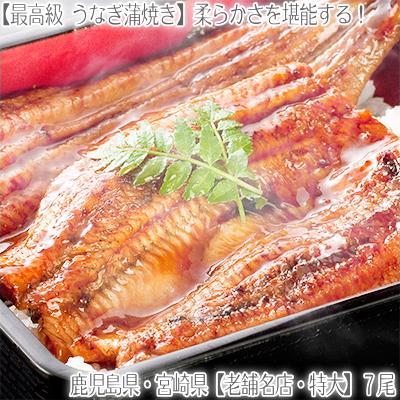 楽天 送料無料 うなぎ 蒲焼き 鹿児島県産 宮崎県産 特大 170g前後 7尾 国内産 国産ウナギ 最高級 母の日 父の日 お中元 お歳暮 メーカー包装済 Kuljic Com