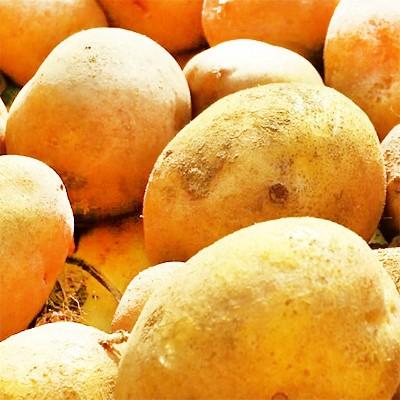 送料無料 じゃがいも 北海道産 北海道 インカのめざめ 正規品 3kg ジャガイモ 最高級 収穫日に空輸で翌日着 北海道ブランド 特別栽培農園産 B400 002 01 どさんこファクトリー北海道 通販 Yahoo ショッピング
