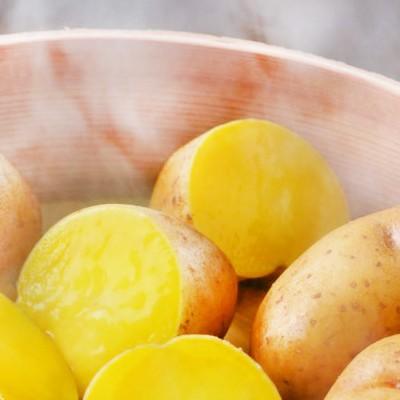 送料無料 じゃがいも 北海道産 北海道 インカのめざめ 正規品 3kg ジャガイモ 最高級 収穫日に空輸で翌日着 北海道ブランド 特別栽培農園産 B400 002 01 どさんこファクトリー北海道 通販 Yahoo ショッピング