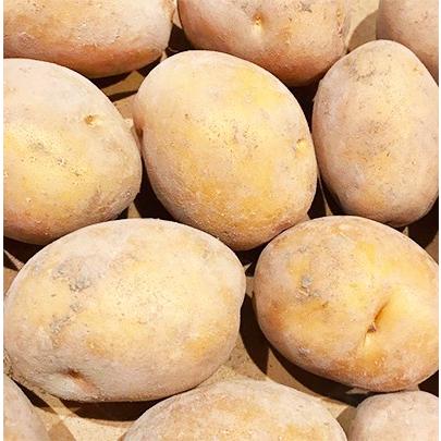 送料無料 じゃがいも 北海道産 北海道 インカのめざめ 正規品 3kg ジャガイモ 最高級 収穫日に空輸で翌日着 北海道ブランド 特別栽培農園産 B400 002 01 どさんこファクトリー北海道 通販 Yahoo ショッピング