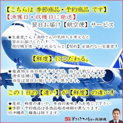 送料無料 じゃがいも 北海道産 北海道 インカのめざめ 正規品 3kg ジャガイモ 最高級 収穫日に空輸で翌日着 北海道ブランド 特別栽培農園産 B400 002 01 どさんこファクトリー北海道 通販 Yahoo ショッピング