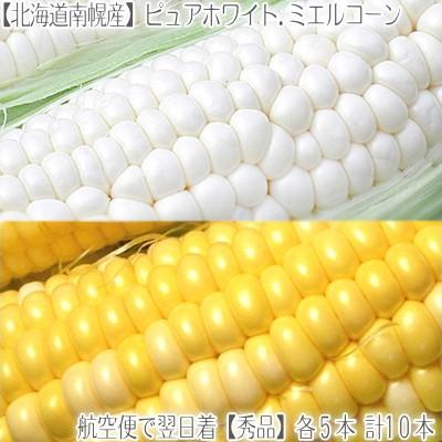 スーパーセール 送料無料 とうもろこし セット 北海道産 ピュアホワイト ミエルコーン 2種類 計10本 大粒 最高級 収穫日に空輸で翌日着 南幌町産 北海道ブランド 黄 白 25 Off