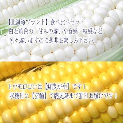 送料無料 とうもろこし セット 北海道産 ピュアホワイト ミエルコーン 2種類 計10本 大粒 最高級 収穫日に空輸で翌日着 南幌町産 北海道ブランド 黄 白 B400 005 01 どさんこファクトリー北海道 通販 Yahoo ショッピング
