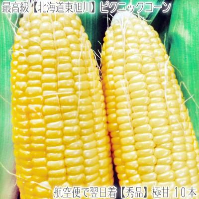 送料無料 とうもろこし 北海道産 ピクニックコーン 10本 極甘 甘い 希少 最高級 収穫日に空輸で翌日着 東旭川地域産 北海道ブランド トウモロコシ 黄色 B400 006 01 どさんこファクトリー北海道 通販 Yahoo ショッピング