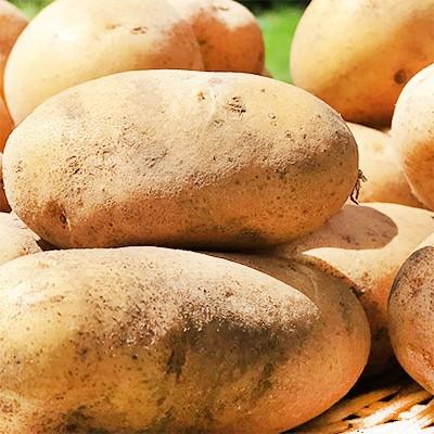 送料無料 じゃがいも メークイン 北海道産 北海道 メイクイン L 3kg ジャガイモ 正規品 最高級 収穫日に空輸で翌日着 北海道ブランド 特別栽培農園産 B500 003 01 どさんこファクトリー北海道 通販 Yahoo ショッピング
