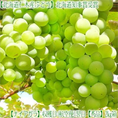 送料無料 ぶどう 北海道産 ナイアガラ 2kg 8房前後 最高級 仁木産 収穫日に空輸で翌日着 北海道 ブドウ 緑色 秀品 航空便 B550 001 01 どさんこファクトリー北海道 通販 Yahoo ショッピング