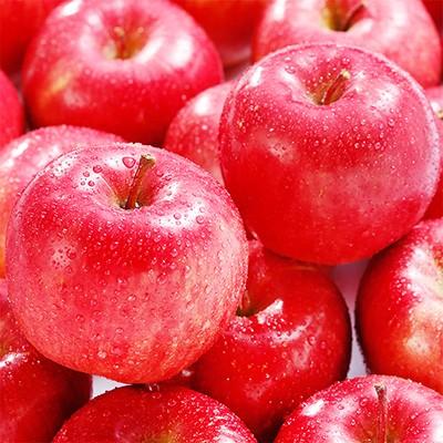 送料無料 りんご リンゴ 北海道産 昂林 こうりん 10kg 36玉前後 Ja北海道 余市産 収穫日に空輸で翌日着 秋リンゴ 最高級 秀品 北海道ブランド D001 123 02 どさんこファクトリー北海道 通販 Yahoo ショッピング