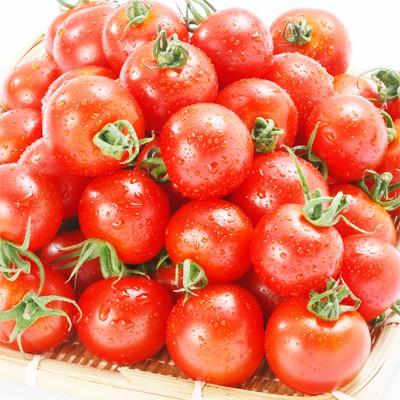 送料無料 フルーツトマト 北海道産 シンディスイート ｌ中玉 2kg 北海道 Ja上川 航空便 収穫日に空輸で翌日着 新品種 絶妙なバランス 秀品 M101 101 05 どさんこファクトリー北海道 通販 Yahoo ショッピング