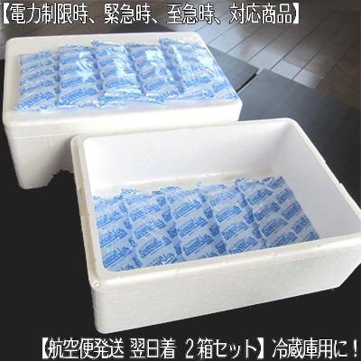 送料無料 簡易 冷蔵庫 冷凍庫用 2箱セット 最短 空輸で翌日着 発泡スチロール 大判保冷剤 1個300g 厚手ポリ袋 電力供給制限用 M111 001 22 どさんこファクトリー北海道 通販 Yahoo ショッピング
