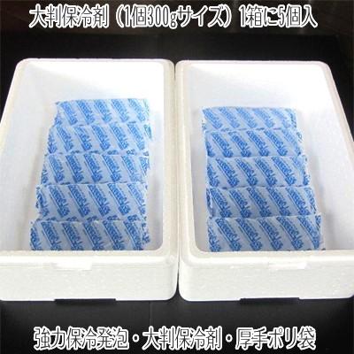 送料無料 簡易 冷蔵庫 冷凍庫用 2箱セット 最短 空輸で翌日着 発泡スチロール 大判保冷剤 1個300g 厚手ポリ袋 電力供給制限用 M111 001 22 どさんこファクトリー北海道 通販 Yahoo ショッピング