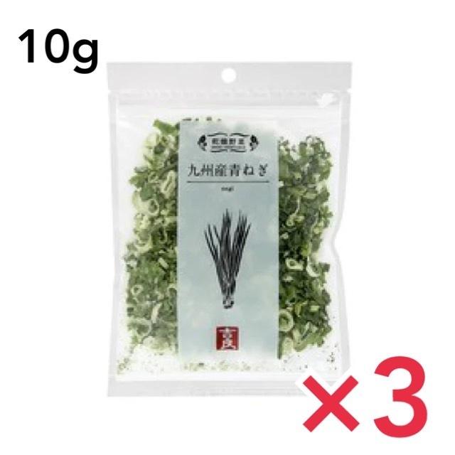 2874円 楽天スーパーセール レッドロビン 25本セット 樹高0 4m前後 10 5cm