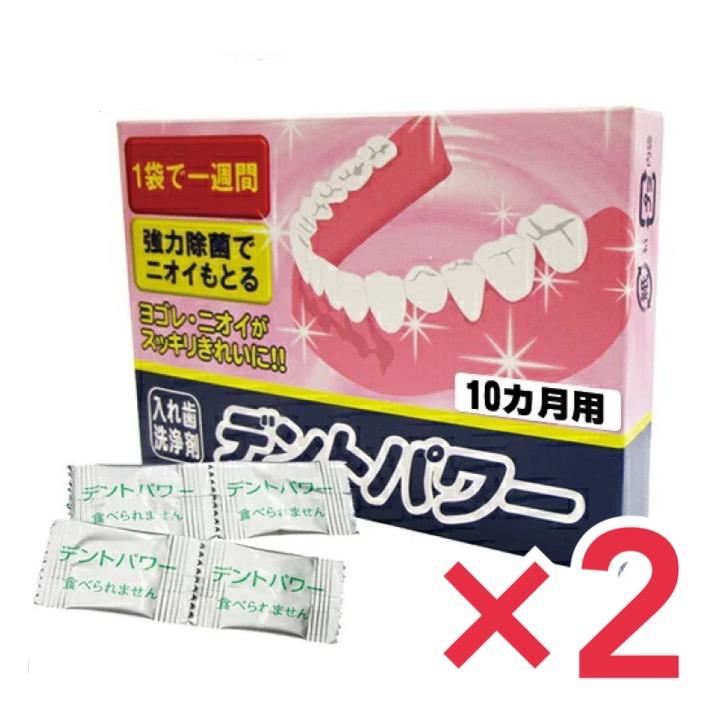 デントパワー 入れ歯洗浄剤 10ヵ月用 専用ケース無し 入れ歯 洗浄 2個