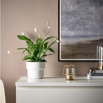 Ikea イケア Parlband ペルルバンド ティーライトホルダー 10cm キャンドルホルダー 可愛い 癒し お洒落 ムード作り 小物 今ダケ送料無料 グラス キャンドルスタンド