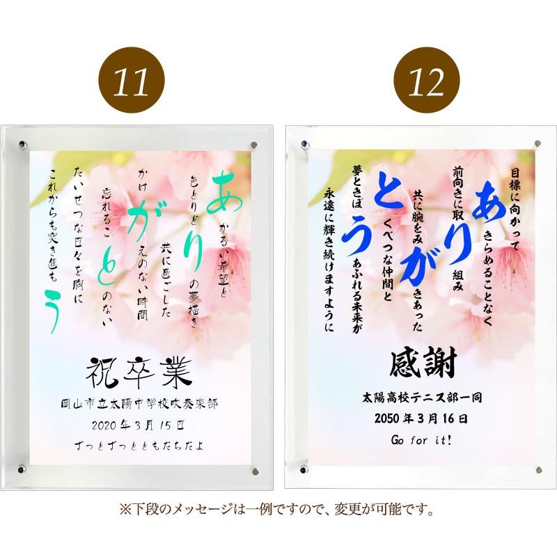 ありがとう ポエム 桜 詩 名入れ クリアフレーム 縦 額 額縁 デザイン プレゼント お祝い 結婚祝い 出産祝い 家族 還暦 米寿 Spoem Cl4 07 A 名入れプレゼント ドットボーダー 通販 Yahoo ショッピング
