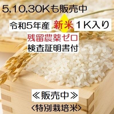コシヒカリ 無洗米 令和5年新米 ：残留農薬ゼロ 1K 特別栽培棚田米 